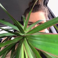 Photos de Natalie Smith