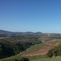 Tzipi Tsabari's Photo