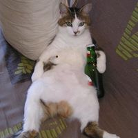 Photos de Patrice Lafontaine