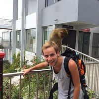 Hauke Schlosser's Photo