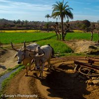 sanjay Solanki的照片