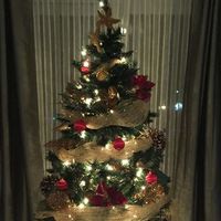 Sarah Bernier's Photo