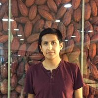 Rafael Salinas的照片