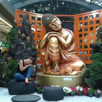 Carola Diaz J的照片