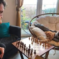 Jérémie Bihin的照片