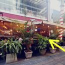 Meetup to Practice English/ Spanish at Rústica's picture