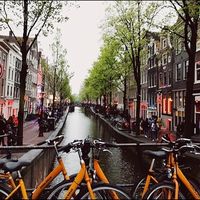 Fatima nora Ali's Photo