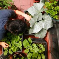 Benji Fernández的照片