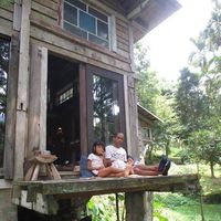 Bruno Galmar的照片