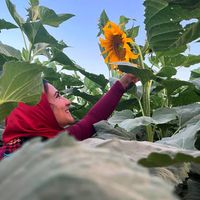 Manar Ramadan's Photo