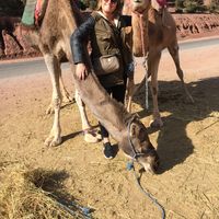 Fotos de Carla Biosca