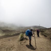 Le foto di Ishra Noor