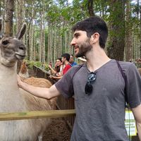 Fotos de TOMAS FLORE