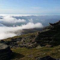 Jamie Hartnett's Photo