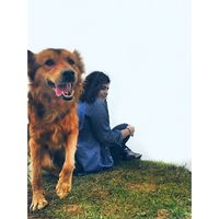 Photos de Hanieh Mazaheri