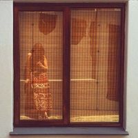 Fotos von Shalomé van der Westhuizen