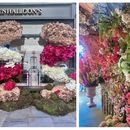 Chelsea In Bloom 🌸's picture