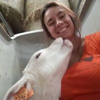 Rachel Sundar Raj's Photo