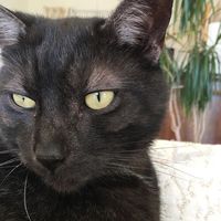 Emilie Durand's Photo