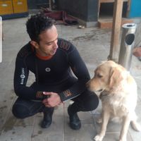 Tarique KN.的照片