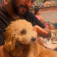 Dharma Teja的照片