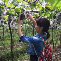 Rosemay Chow's Photo