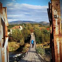 Nina Jungblut's Photo