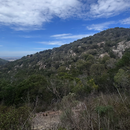 You Yangs Hike 💚🥾's picture