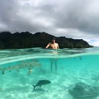 Brandon Eveland's Photo