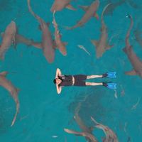 Manar Alsoltan的照片