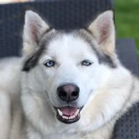 Rafał Zieliński's Photo