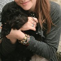 Liora Zemtsov的照片