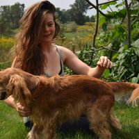 Rachel Jamesen的照片