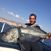 tal amsalem的照片