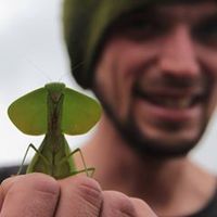 Photos de Mattia Serafini