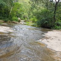 Viviana Pessoa's Photo