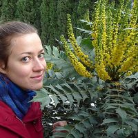 Elena Panchenko的照片