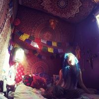 Define Cascades的照片