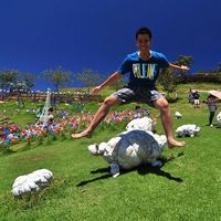 Lee Yan Sheng的照片