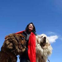 yennifer wang的照片