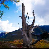 Brede Cunningham Strømme的照片