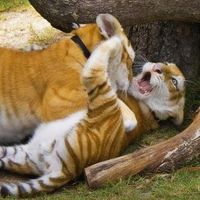 Alex Phuckthyzkunds's Photo