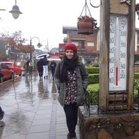 Laine Faria的照片