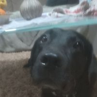 Elias Theodosiou's Photo