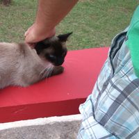 Marco Machado's Photo