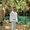 James Moses's Photo
