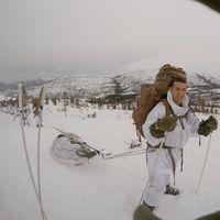 Mitchell Gillen的照片