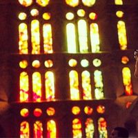 Teddy Popova's Photo