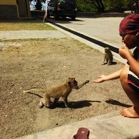 Yohanes Radityandaru的照片