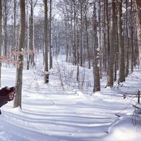 Przemek Godlewski的照片